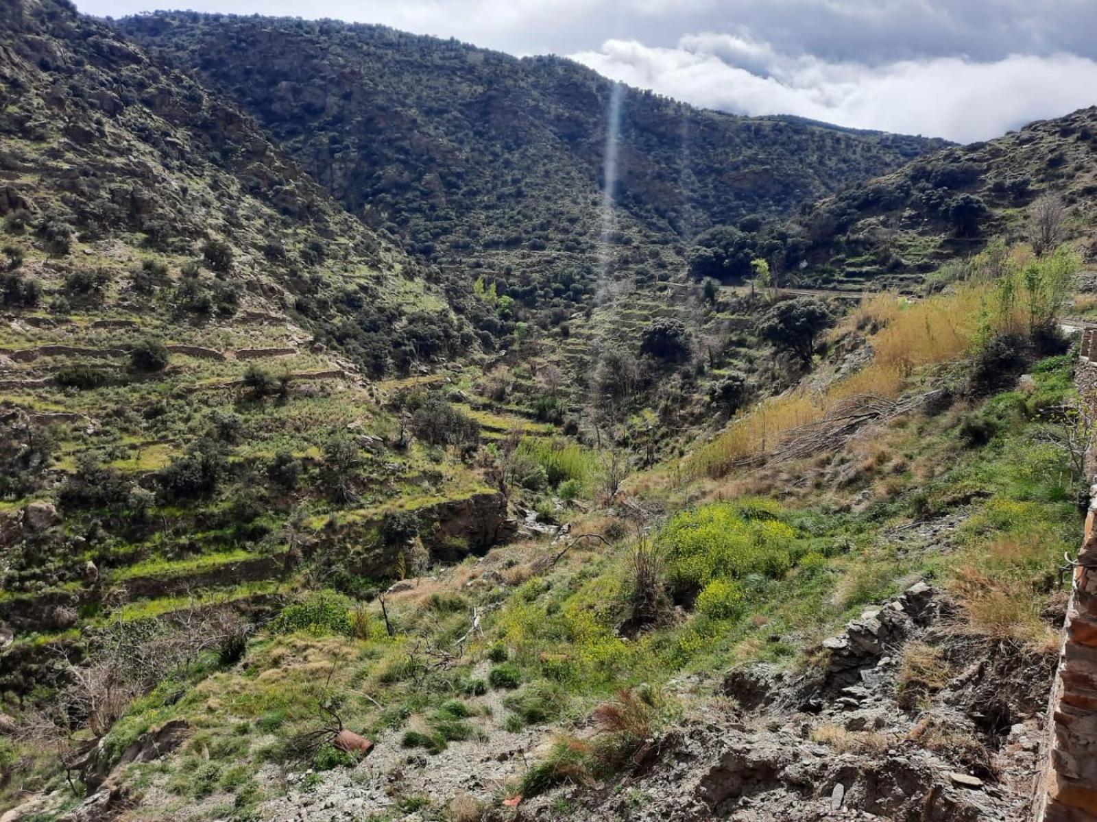Abrucena Casa Rural Serrano מראה חיצוני תמונה